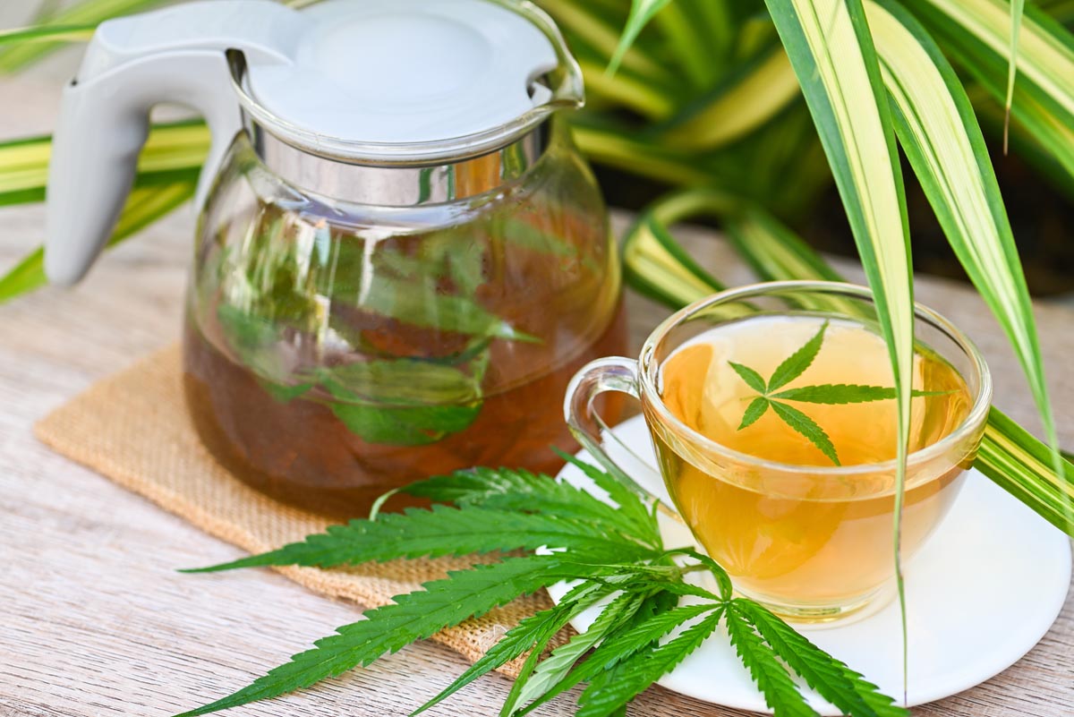 infuser du cbd